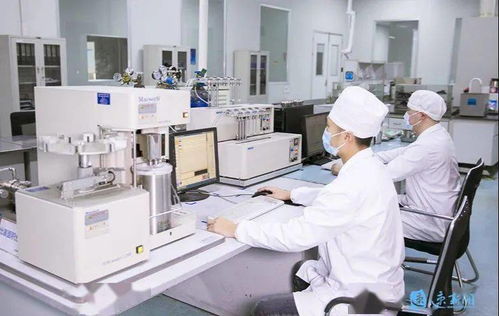 新华日报头版头条点赞宿迁 电子专用材料研发引领产业创新