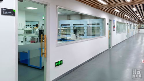 衡水新闻网 电子专用材料制造——产业新引擎，发展新动能